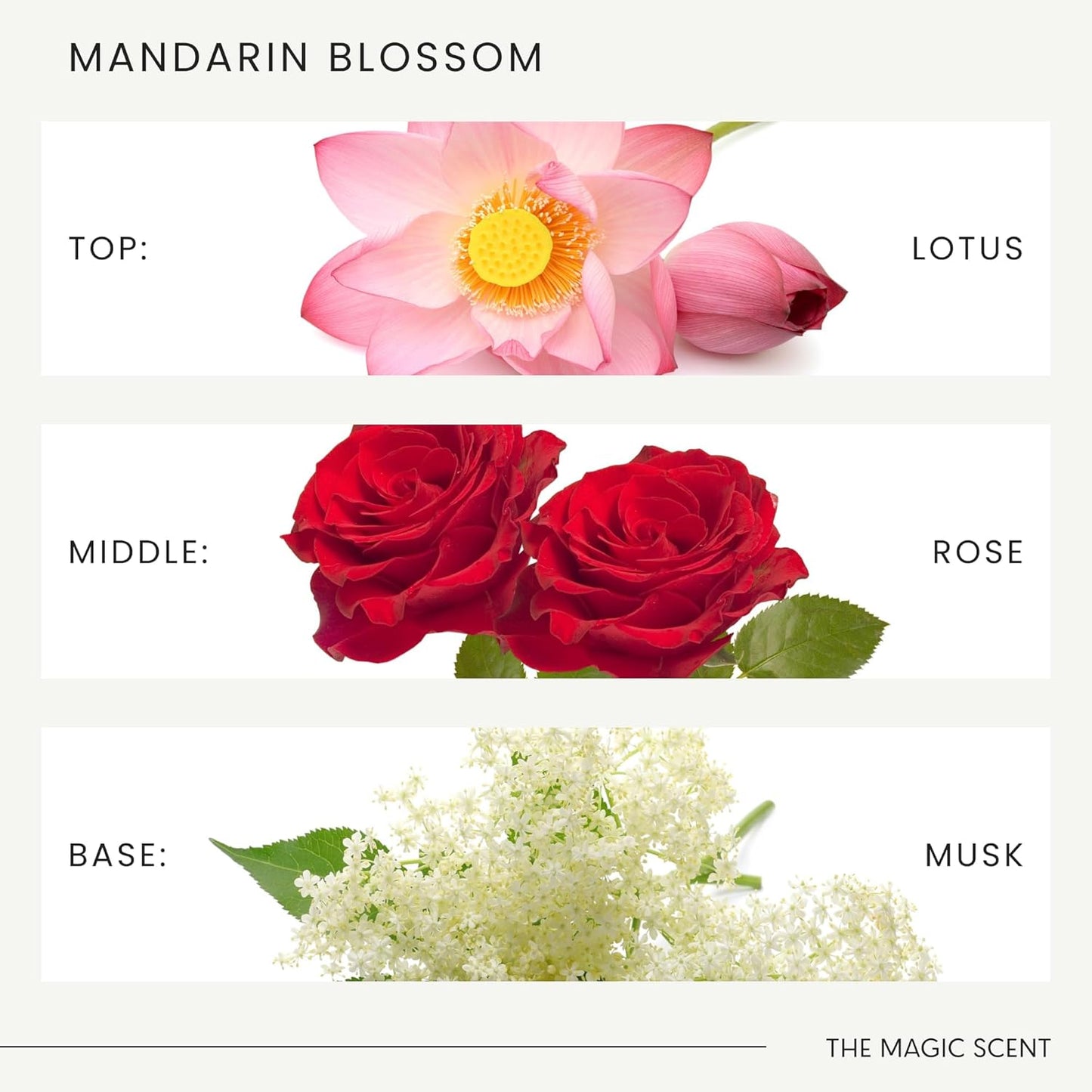 Mandarin Blossom Diffuser Oil - Hotel & Home Luxury Scents Inspired by St. Regis Hotel, Maldives - Diffuser Oil Scents for Home Designed for Use in All Diffusers - 8.5 fl oz, 250 mL