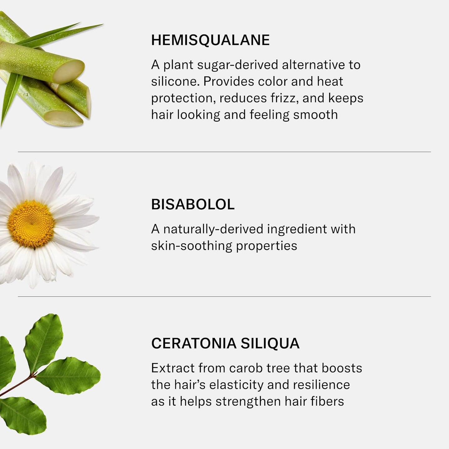 SEEN Blow-Out Creme, Fragrance Free - Non-Comedogenic & Sulfate-Free Blow Out Hair Cream- Reduces Frizz- Heat Protectant- Safe for Sensitive, Eczema & Acne Prone Skin