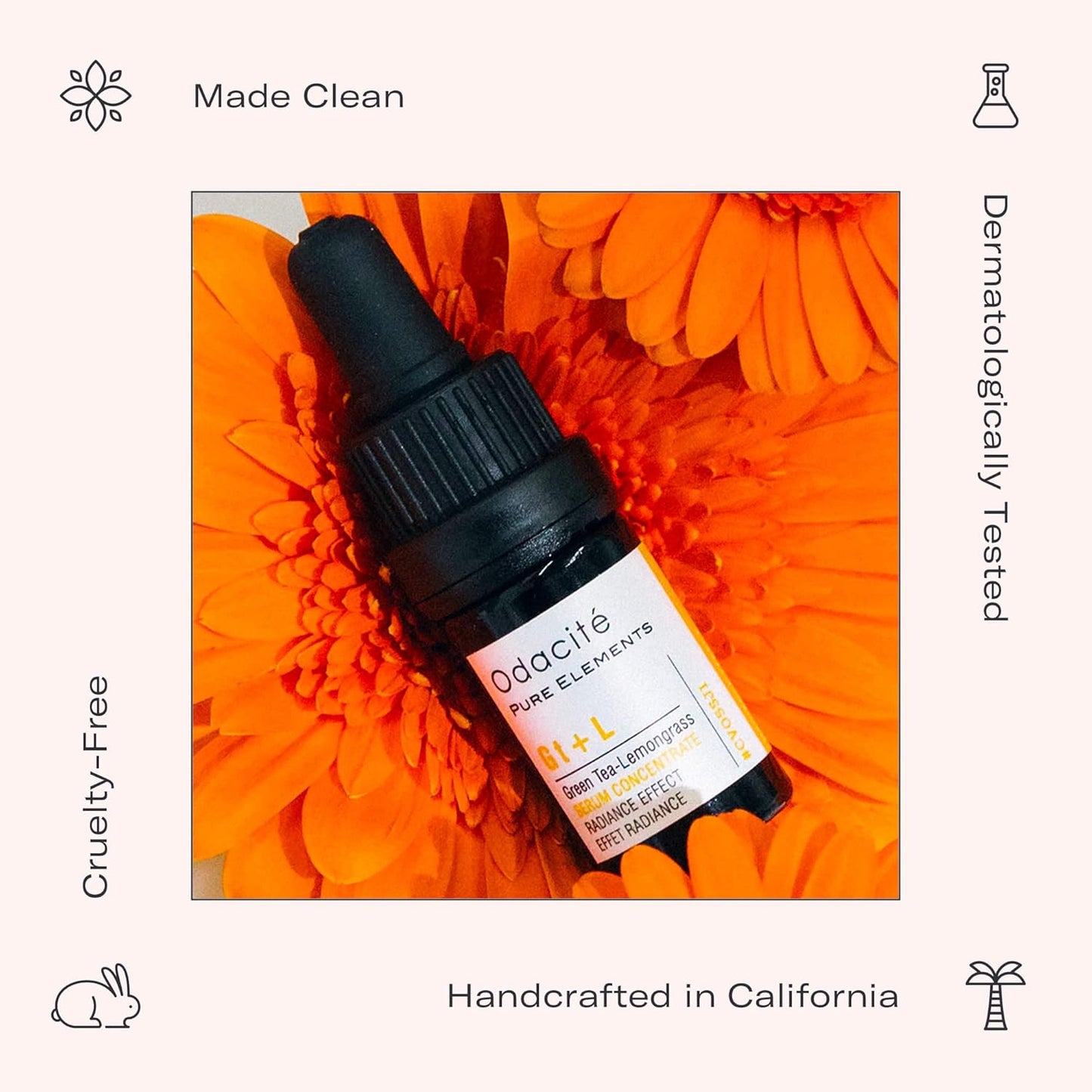 Odacité Brightening Serum Concentrate with Green Tea + Lemongrass for Radiant Skin - Lightweight, Hydrating & Brightening Anti-Aging Facial Oil Concentrate for Sluggish & Lackluster Skin - 0.17 fl. oz