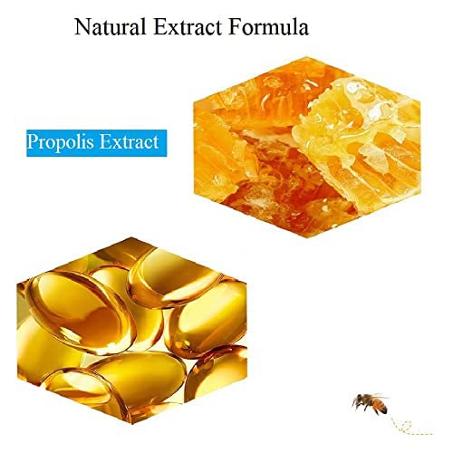 2PCS Bee Balm Honey Pot,Propolis Moisturizing Lip Mask,Hydrating & Prevention Dry and Cracked Lip Scrubs Exfoliator