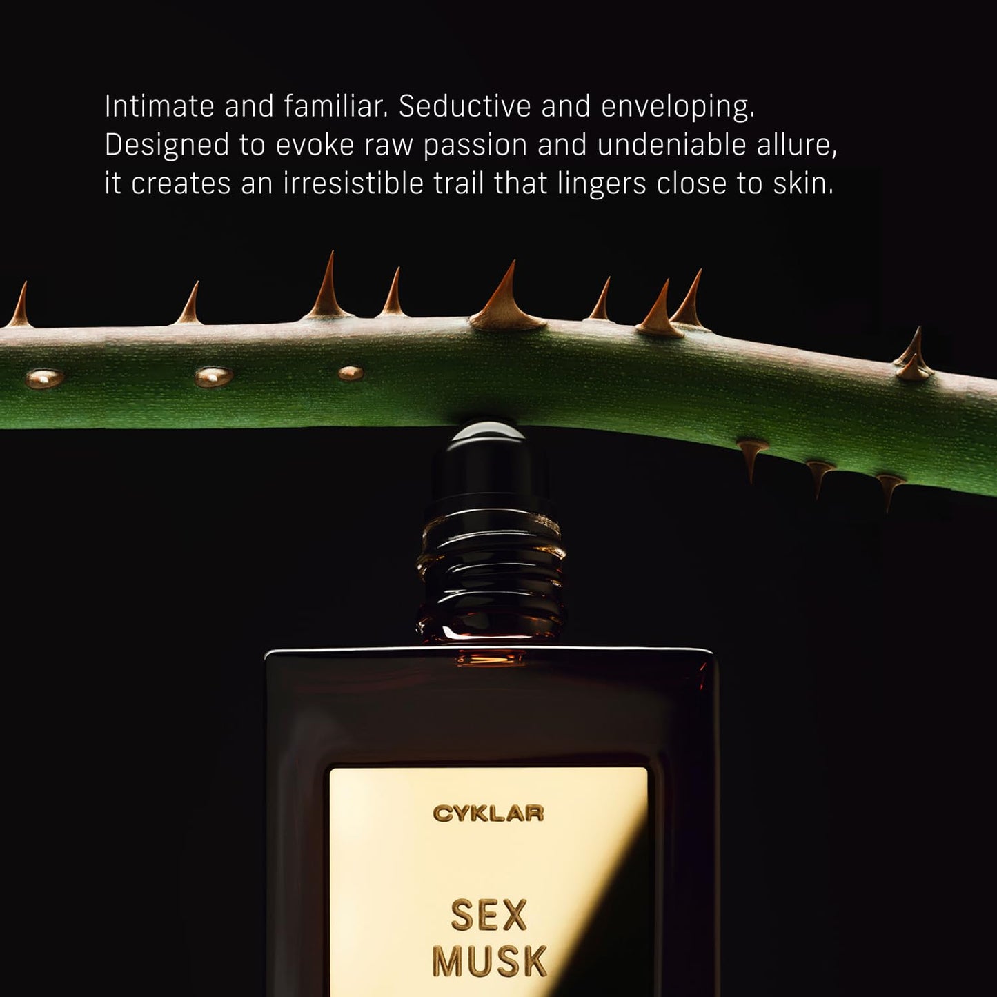 Perfume Oil Roll-On. Travel-Friendly Sex Musk Fragrance with Rose, Tonka Bean, and Musk Notes. Long-Lasting Essential Oil Parfum for Women and Men. 0.5 Fl Oz Scented Rollerball Bottle