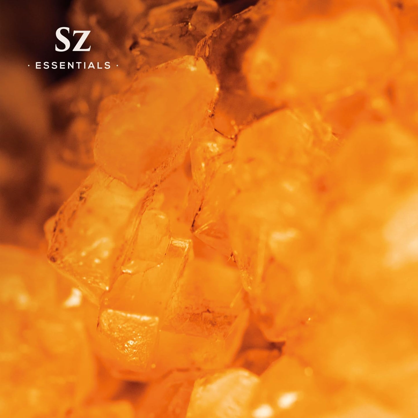 Amber 100% Pure, Essential Undiluted Oil - Extracted from Amber Resin - Rich & Floral Scent, with Smoky Overtones - Therapeutic Grade & Vegan - 0.17oz (5ml)