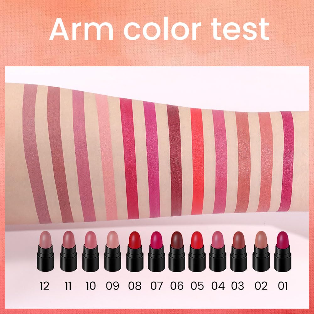 evpct 12Pcs Mini Pills Lipstick Capsule Set for Women Waterproof Long Lasting, Dark Ruby Plum Rose Red Nude Pink Mauve Taupe Brown Matte Small Magic Permanent 24 Hour Lipstick Bulk Samples 01