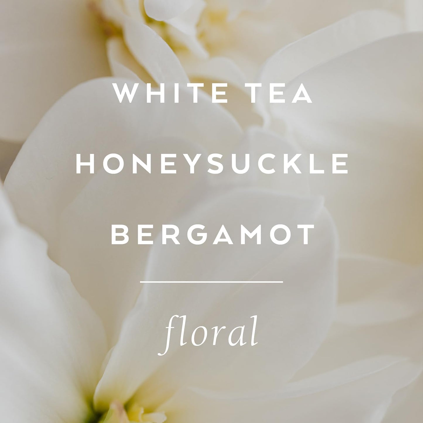 LOLLIA Dream Dry Body Oil, 6.8 Fl. Oz. – White Tea & Honeysuckle – Women’s, Scented, Moisturizing, Dry Body Oil for Women, For All Skin Types