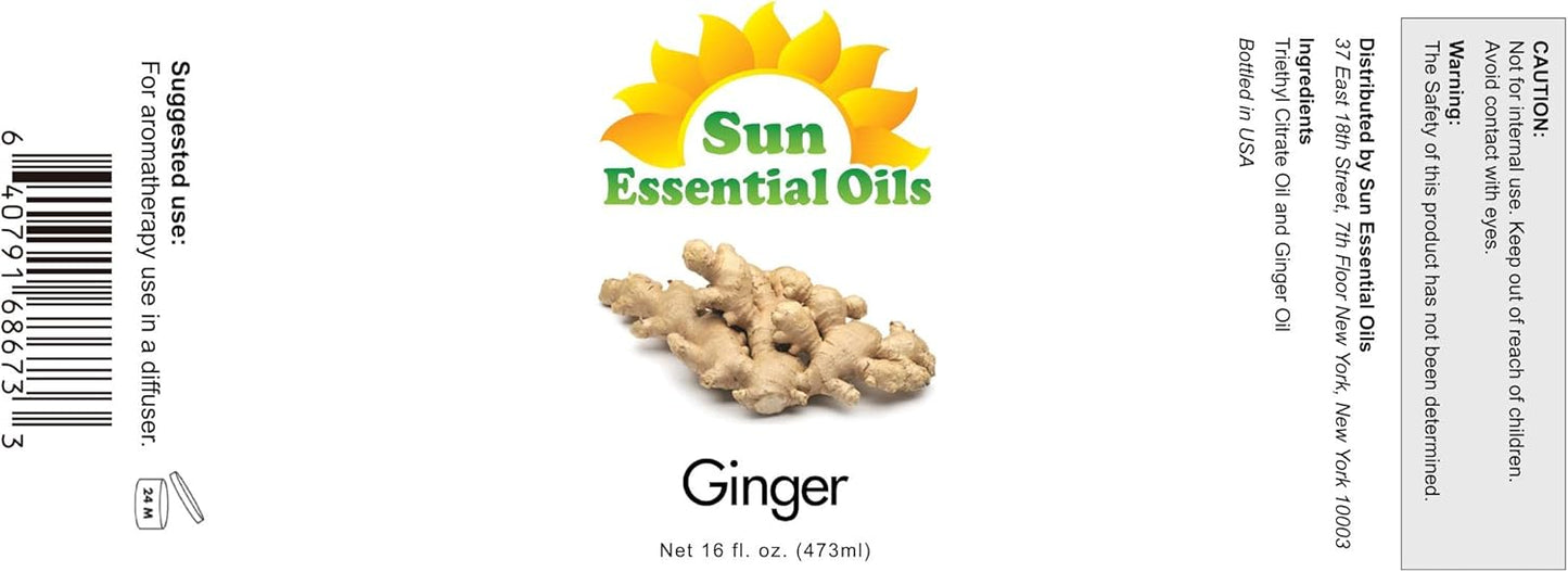 Sun Essential Oils Ginger Essential Oil 16oz Therapeutic Grade for Aromatherapy, Diffuser, Muscle, and Pain Soothing