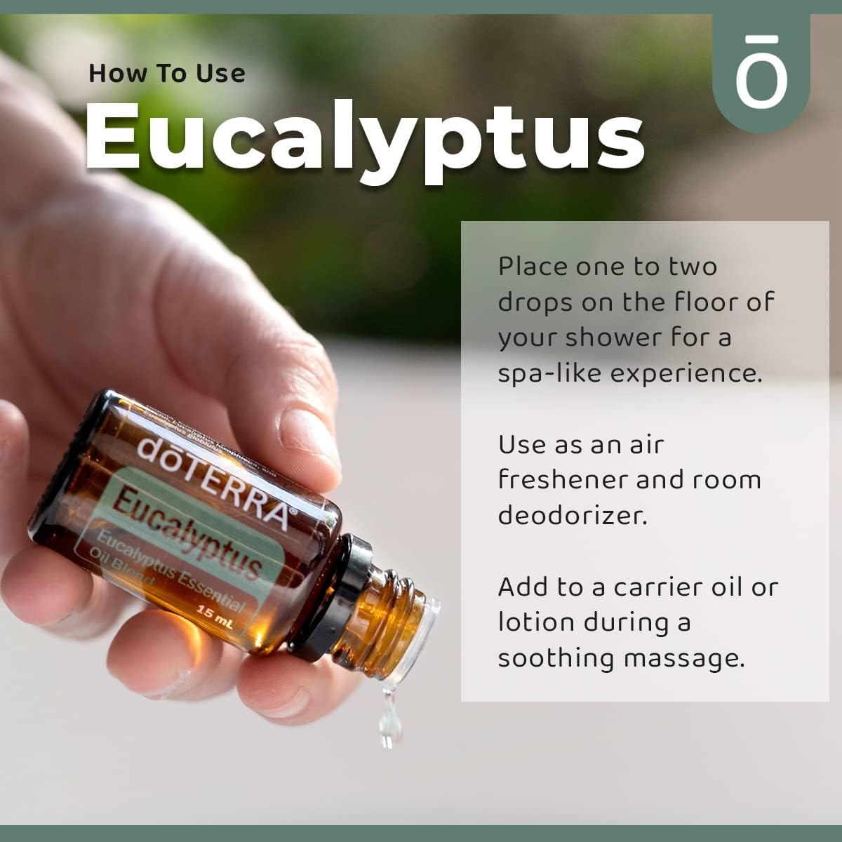 doTERRA Eucalyptus Radiata Essential Oil - 15 mL (2 Pack)