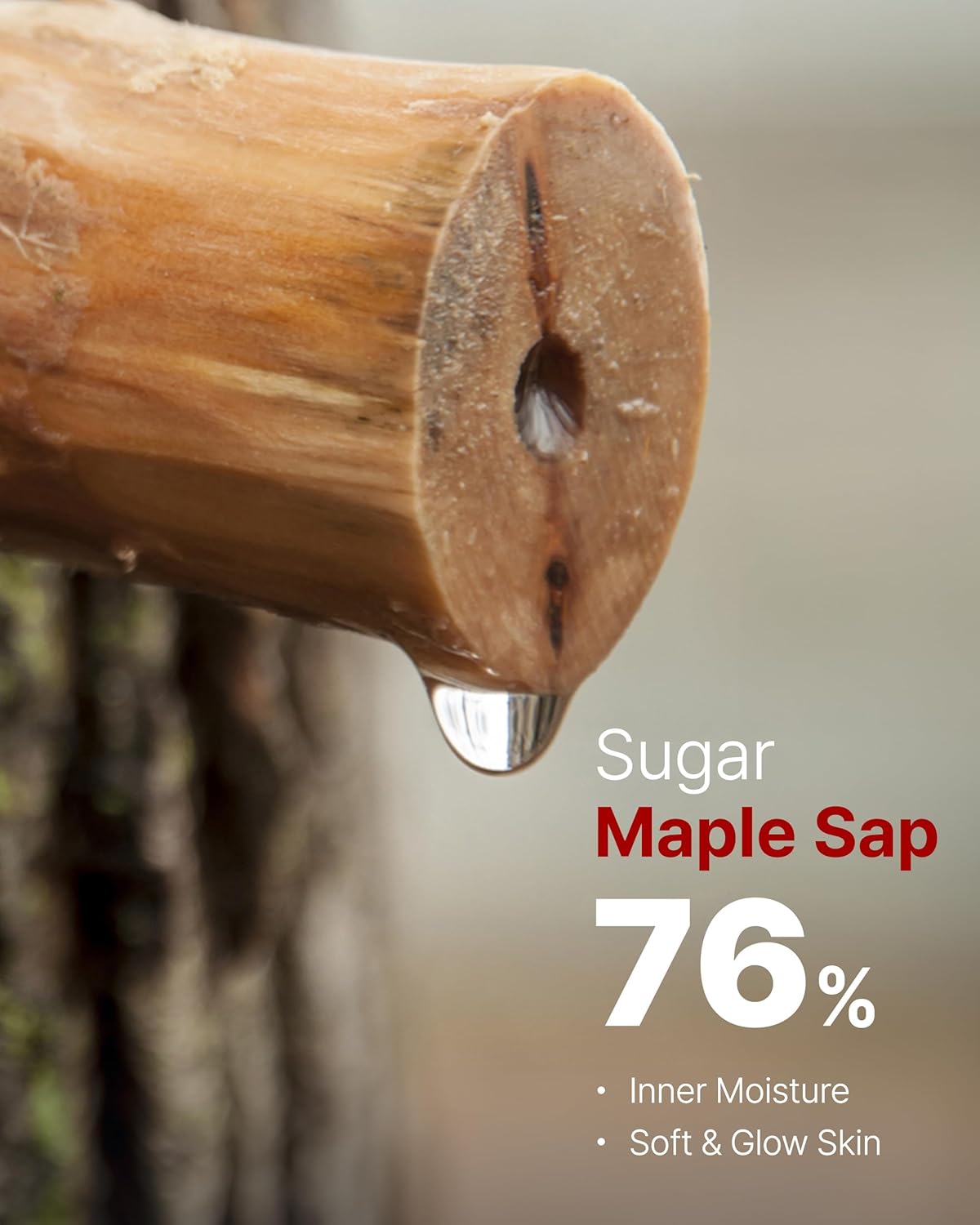 MAY COOP Moisture Essence Toner – Korean Hydrating & Nourishing Skincare for Dry Sensitive Skin with Wildcrafted Centella Asiatica, Rice Water & Birch Bark – Fast-Absorbing Texture – 1.35 fl. oz.