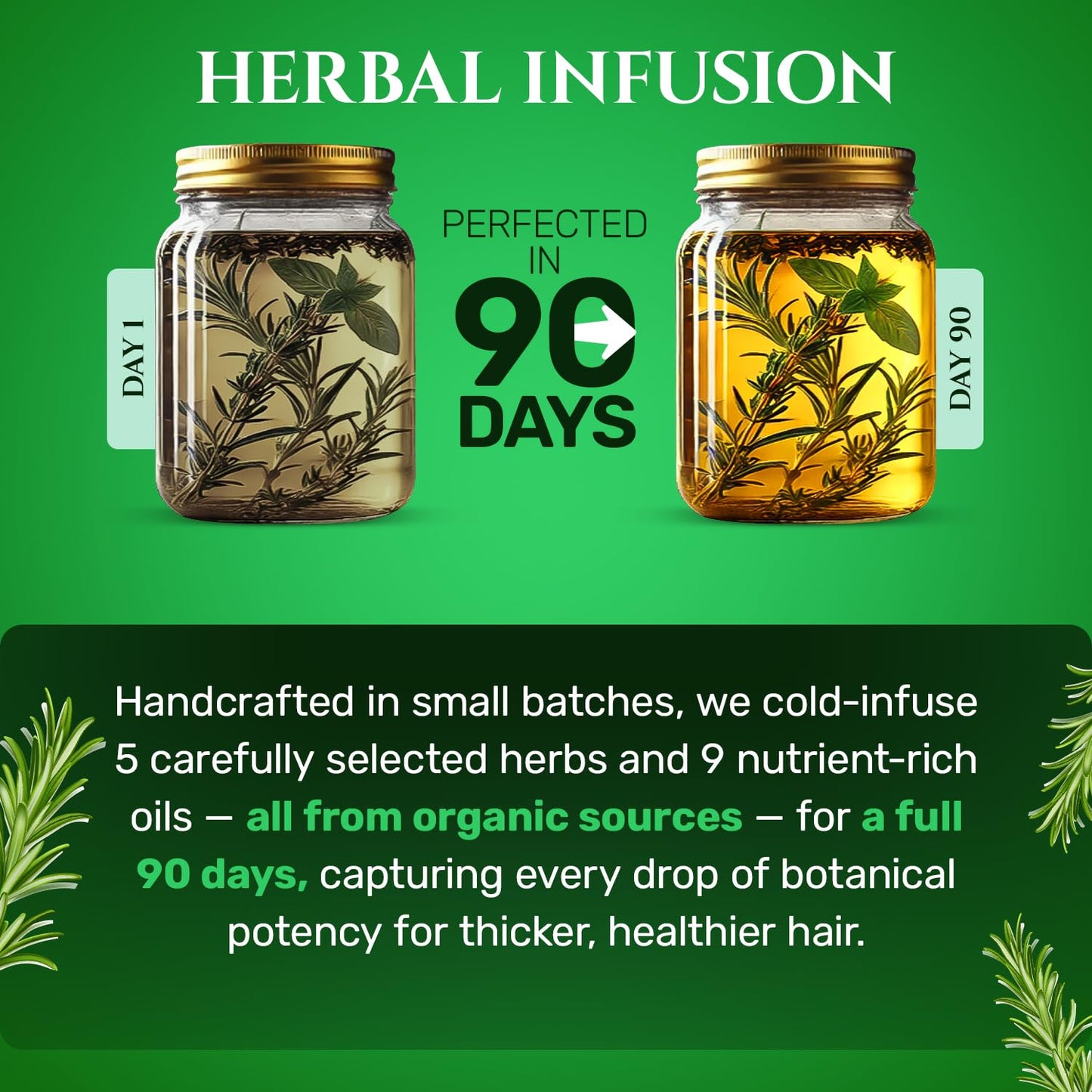 BetterGRO Organic Hair Growth Oil – Herbal & Natural Blend with Rosemary, Black Seed, Amla, Pumpkin Seed & More – Supports Growth, Strengthens Roots, Vegan & Cruelty-Free (1.7 fl oz)