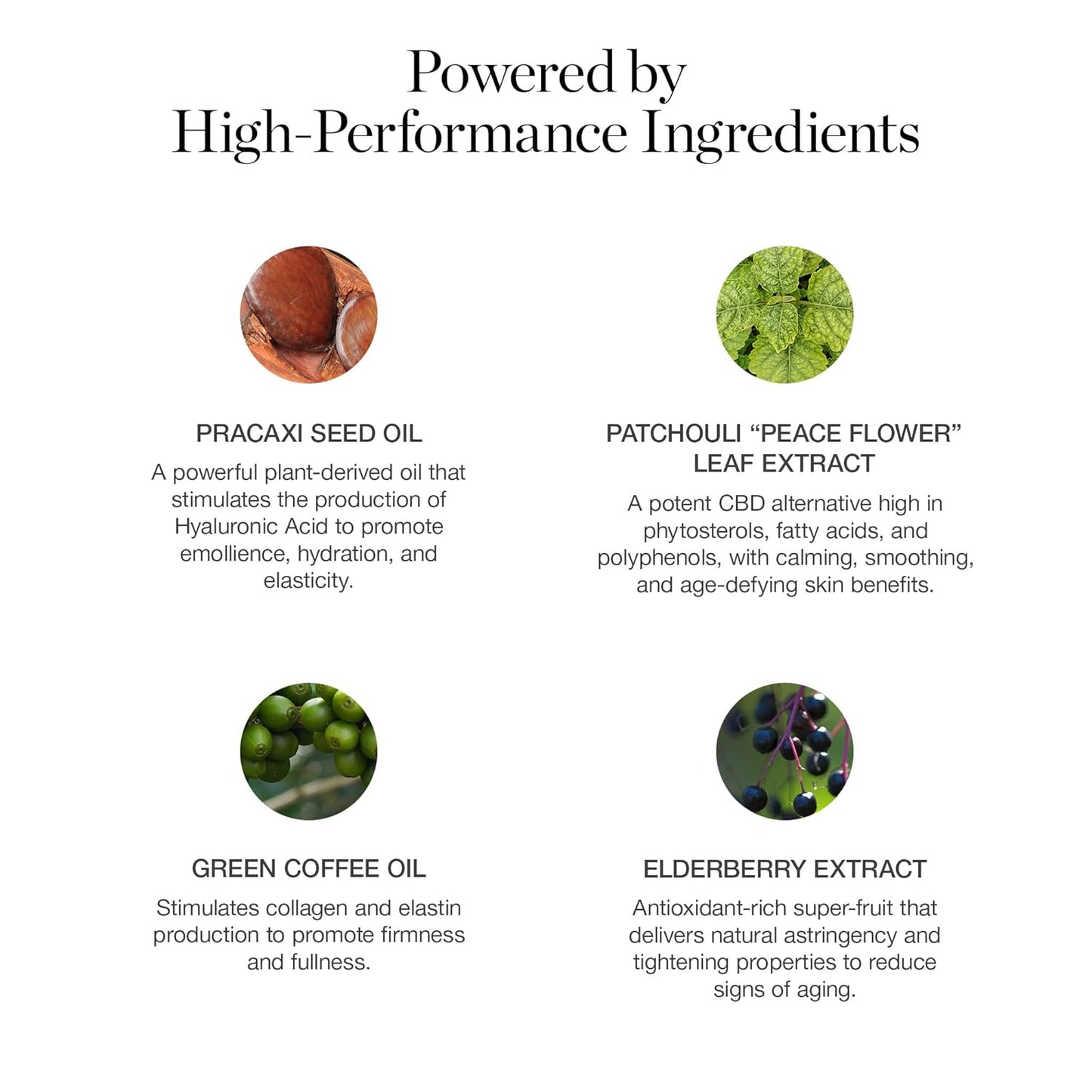 Ogee Sculpted Complexion Foundation Stick (Spruce 12.75N - Deep, Bronze Undertones) Full Coverage Foundation Makeup - Instantly Balance & Even Complexion - 70% Organic Ingredients