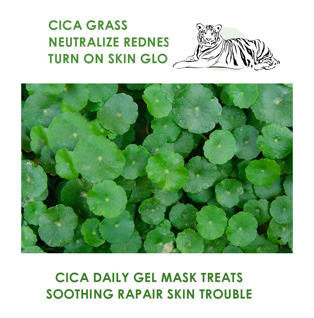 WELLDERMA Premium Cica Treatment Hydrogel Fitting Mask, 25g x 4 Sheets – Soothing & Hydrating Hydrogel Sheet Mask with Centella Leaf Water, Niacinamide & Hyaluronic Acid