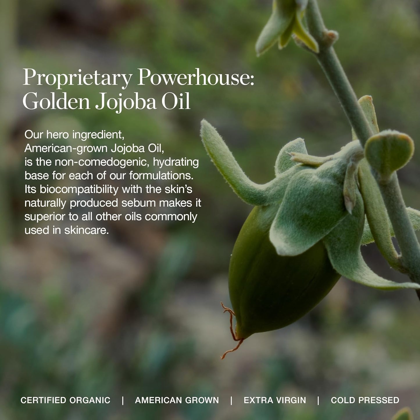 Ogee Complexion Perfecting Under Eye Concealer - Certified Organic Full Coverage Concealer - Buildable Coverage - CACAO 13.75N - Deep Cocoa (Red Undertones)