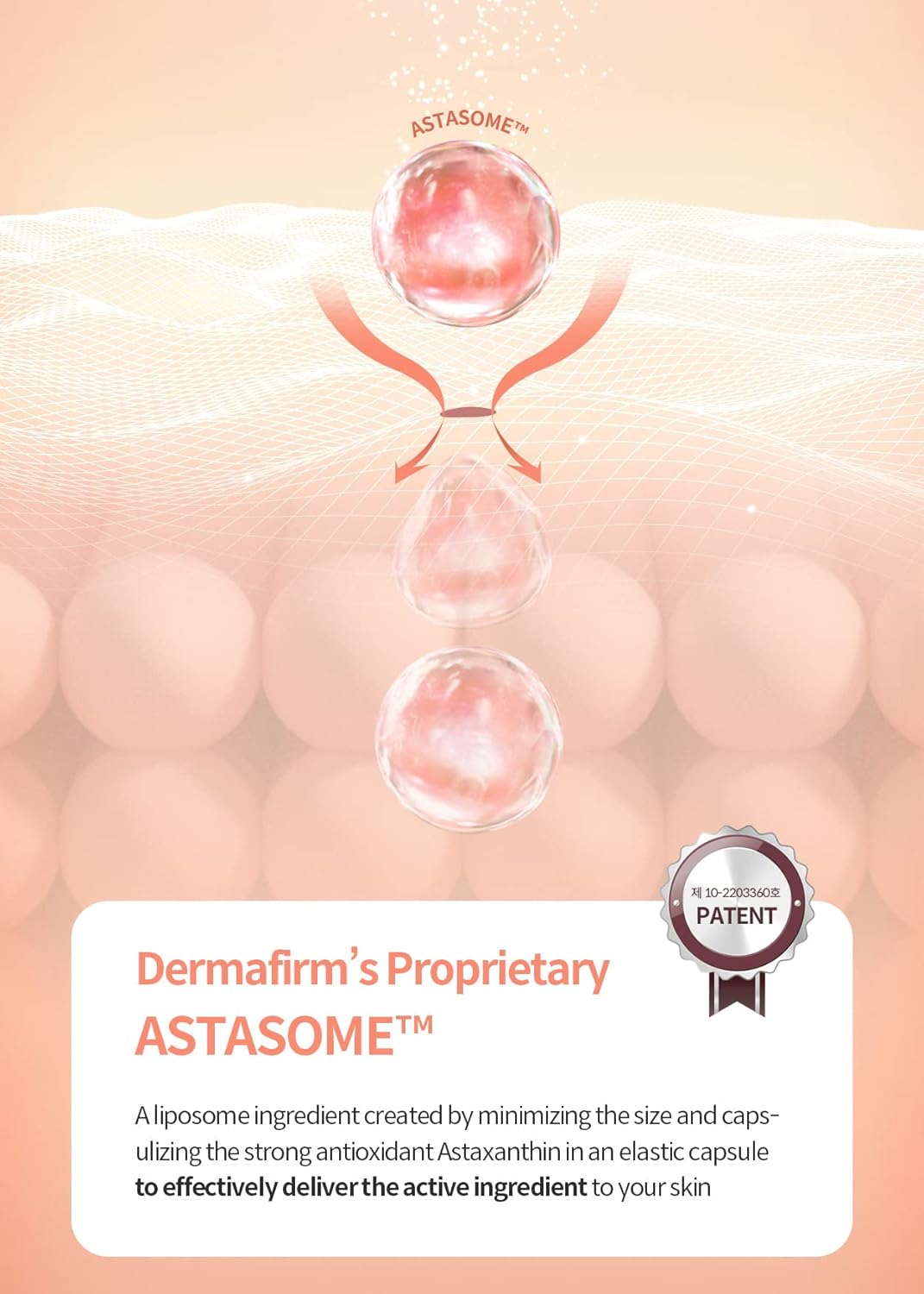 Dermafirm Age Reviving Firming Cream Facial Moisturizer A4 | Hydrating Face Moisturizer for Pore Firming & Skin Elasticity w/Collagen, Astasome & Peptide | No Animal Trials No Paraben 1.69 fl oz