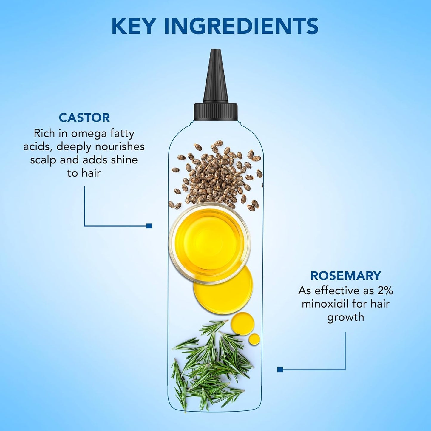 Botanic Hearth Rosemary & Castor Hair Oil (6.7 Fl Oz) |Nourishing And Strengthening Hair Treatment For Thicker, Healthier|Looking Hair | Paraben Free | Suitable For All Hair Types