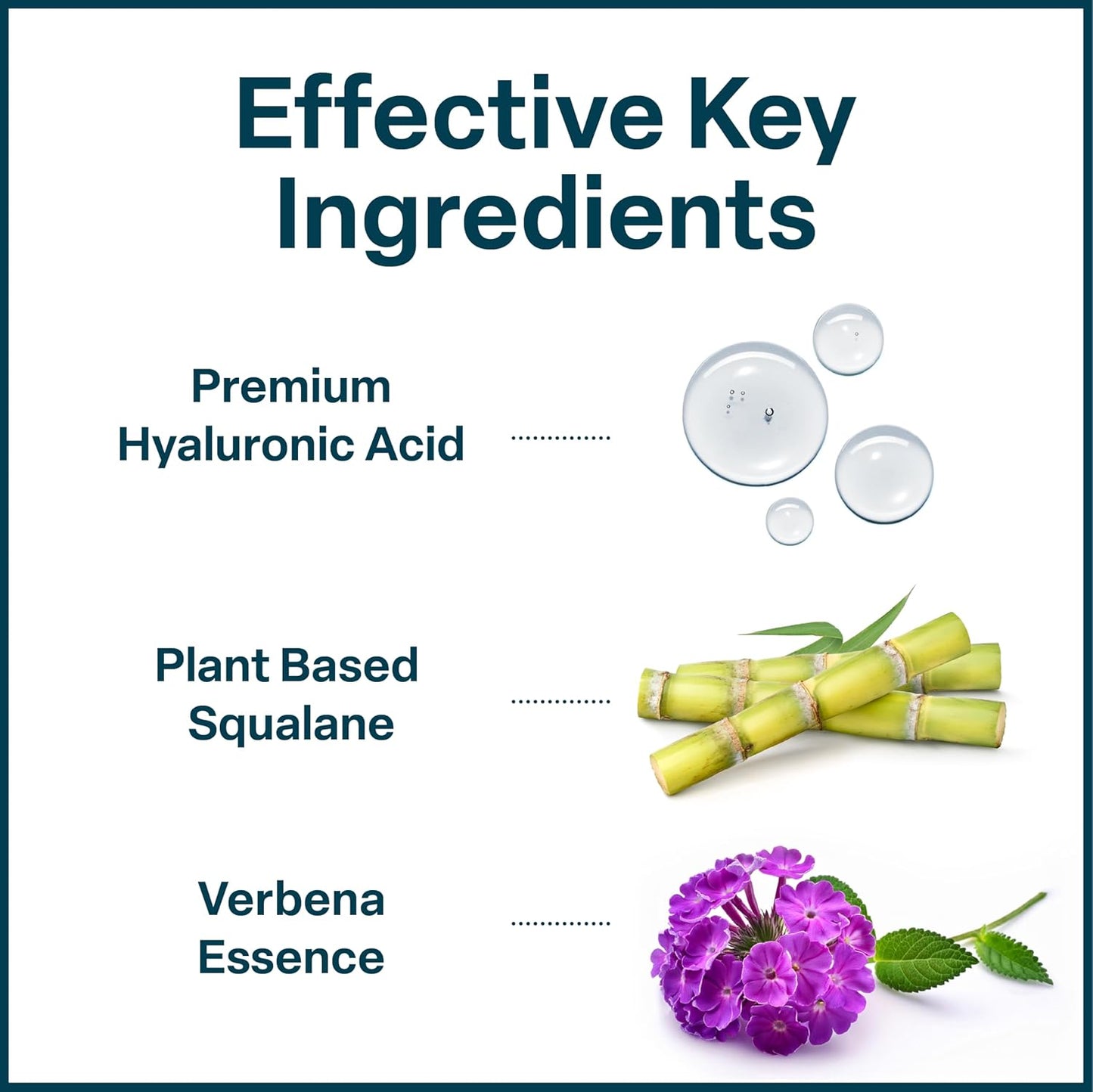 QRxLabs Plant-Based Squalane Face Moisturizer - 2 fl oz (60 mL) - Hyaluronic Acid Hydrating Cream for Face & Body - Moisturizing Cream with Vitamin B5 & Rice Protein - Silicone-Free Cruelty-Free