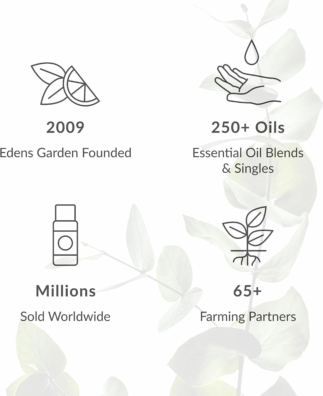 Edens Garden Bliss Essential Oil Roll-On Blend- 100% Pure Premium Grade, Natural, Therapeutic, Aromatherapy, Kid & Skin Safe, The Best for Wellness, Relaxation, Gifts Pre-Diluted 10 ml (.33 fl oz)