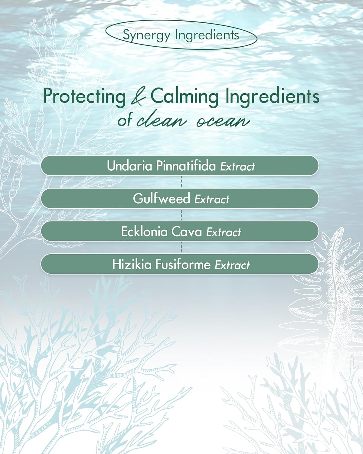 SKINCURE Vegan Seaweed Mud Mask, Korean skincare Blackhead Remover Clay Mask for Pore Cleansing with Kaolin & Bentonite, Oil Control & Gentle Exfoliation, 3.5oz