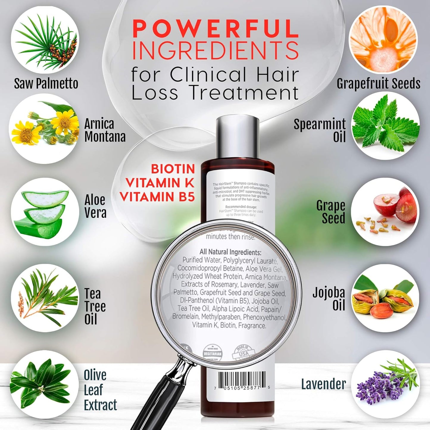 HairStem DHT Blocker Hair Growth Shampoo Products with Biotin, Saw Palmetto - Clinically Developed - Hair Loss Products Treatments- 10oz