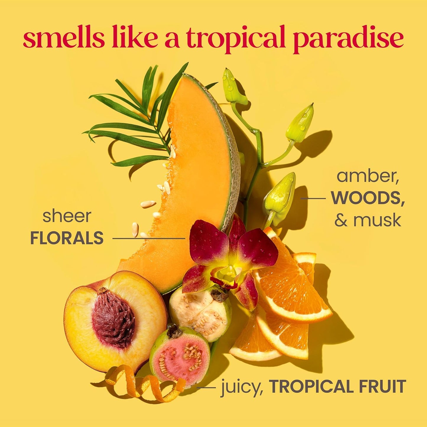 Burt's Bees Boosted Body Whipped Butter With a Ceramide, Niacinamide and Peptide Complex, Quick-Absorbing Body Butter Helps Support Skin Barrier, Tropical Scented, 6.5 oz. Jar