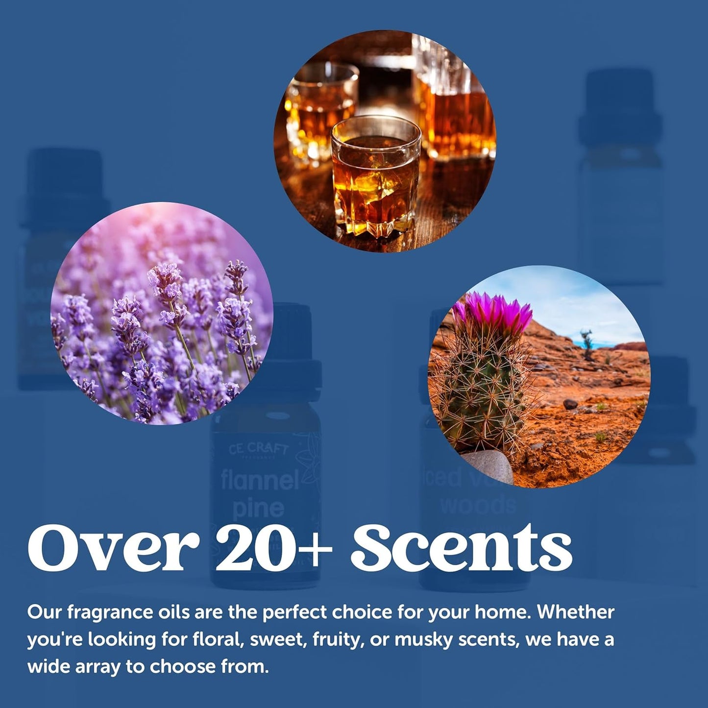 CANDECraftCo Premium Fragrance Oil – Diffuser Oils Fragrances Scented for Home, Candle Soap Making Supplies, Aromatherapy Blends for House (0.34 Fl Oz) (2-Pack, Berry Mimosa)