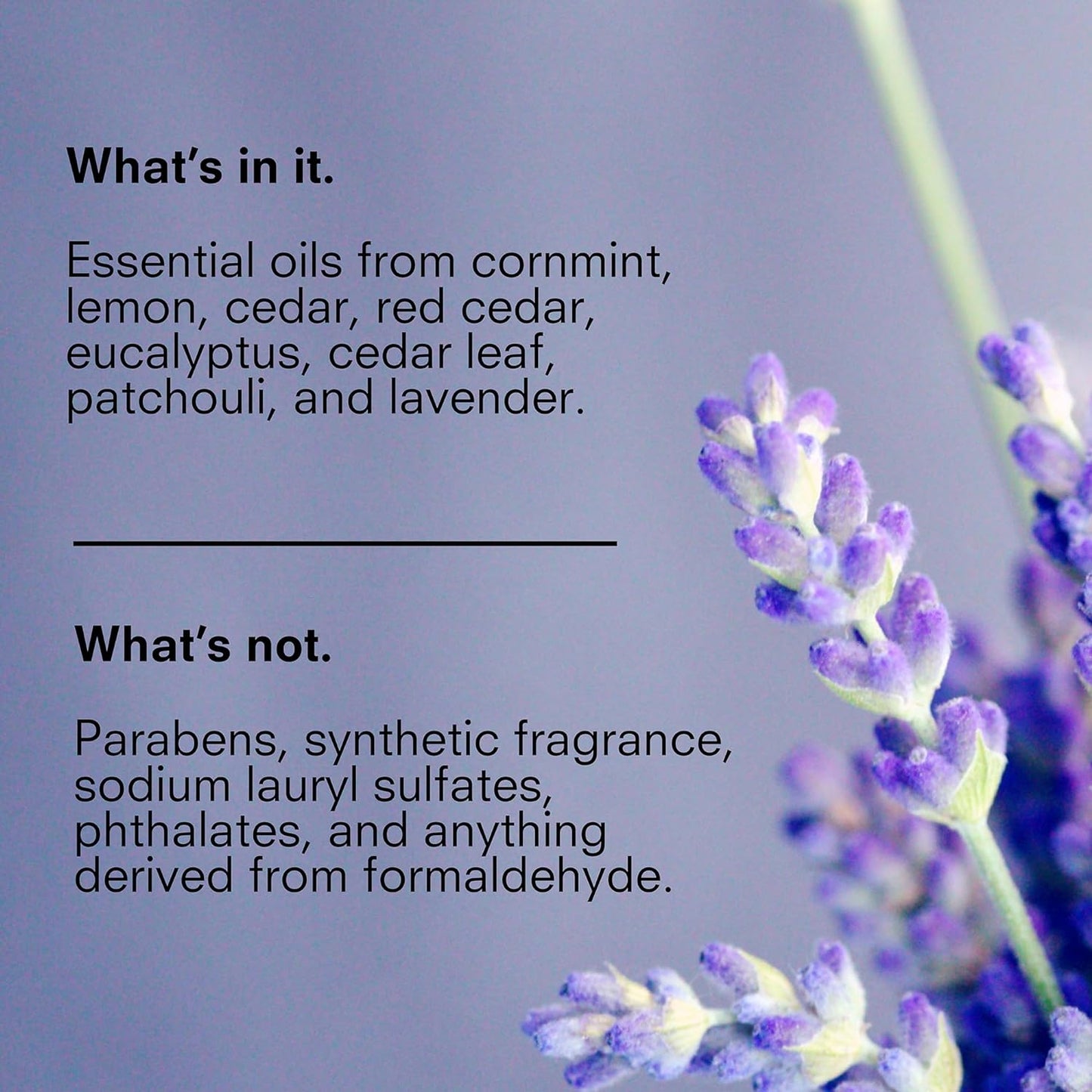 Public Goods Body & Hand Lotion for Women & Men | Natural Moisturizing Daily Lotion for Dry & Itchy Skin | Paraben & Sulfate Free | Made with Organic Essential Oils | Made in Canada | 34 Fl Oz Refill