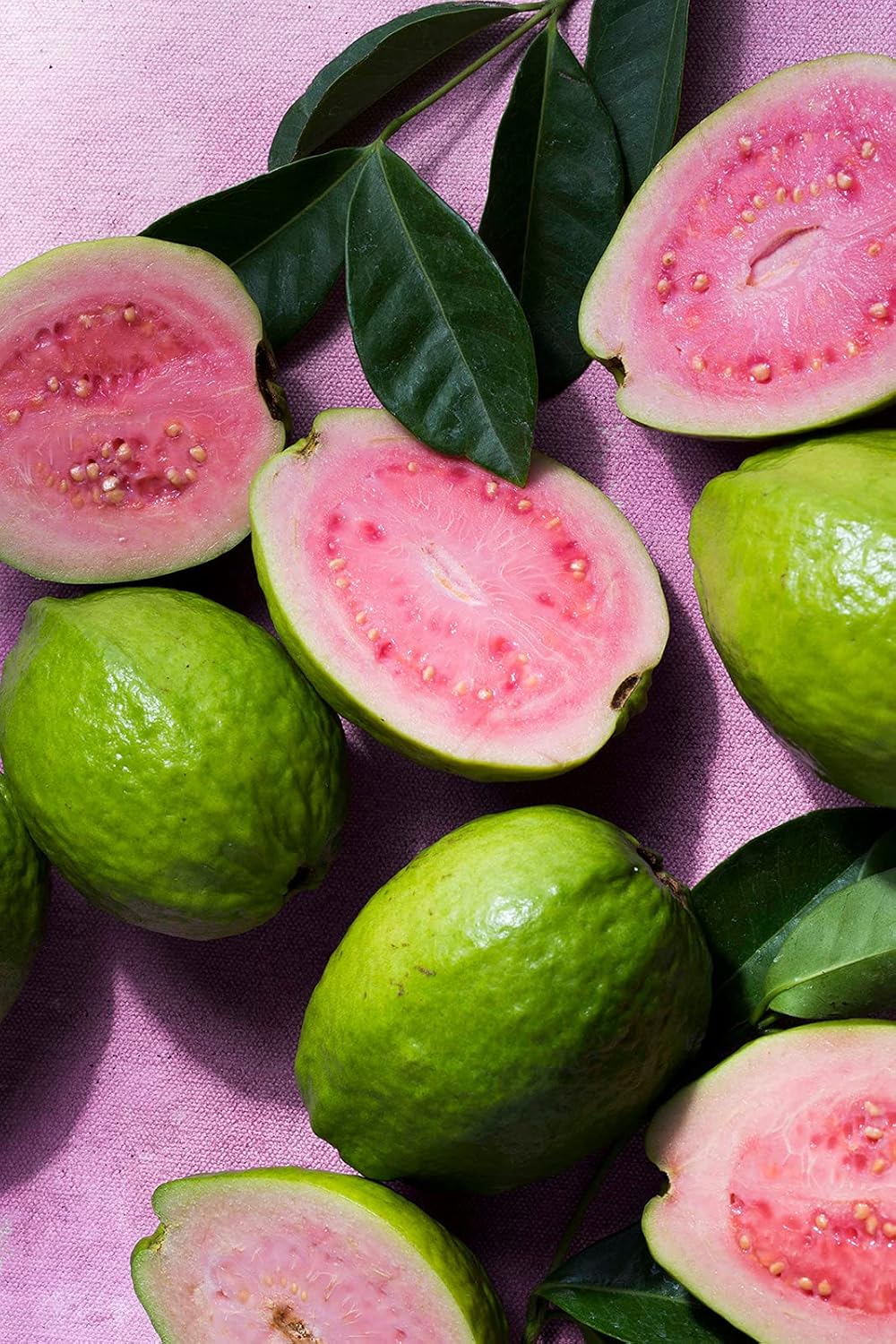 KORRES Elasti-Smooth Body Butter Cream, Dry Skin Lotion with Shea Butter and Almond Oil, Moisturizing, Firming, Tightening and Hydrating After Shower Care For Women & Men, Guava Fragrance, 4.23 Fl Oz