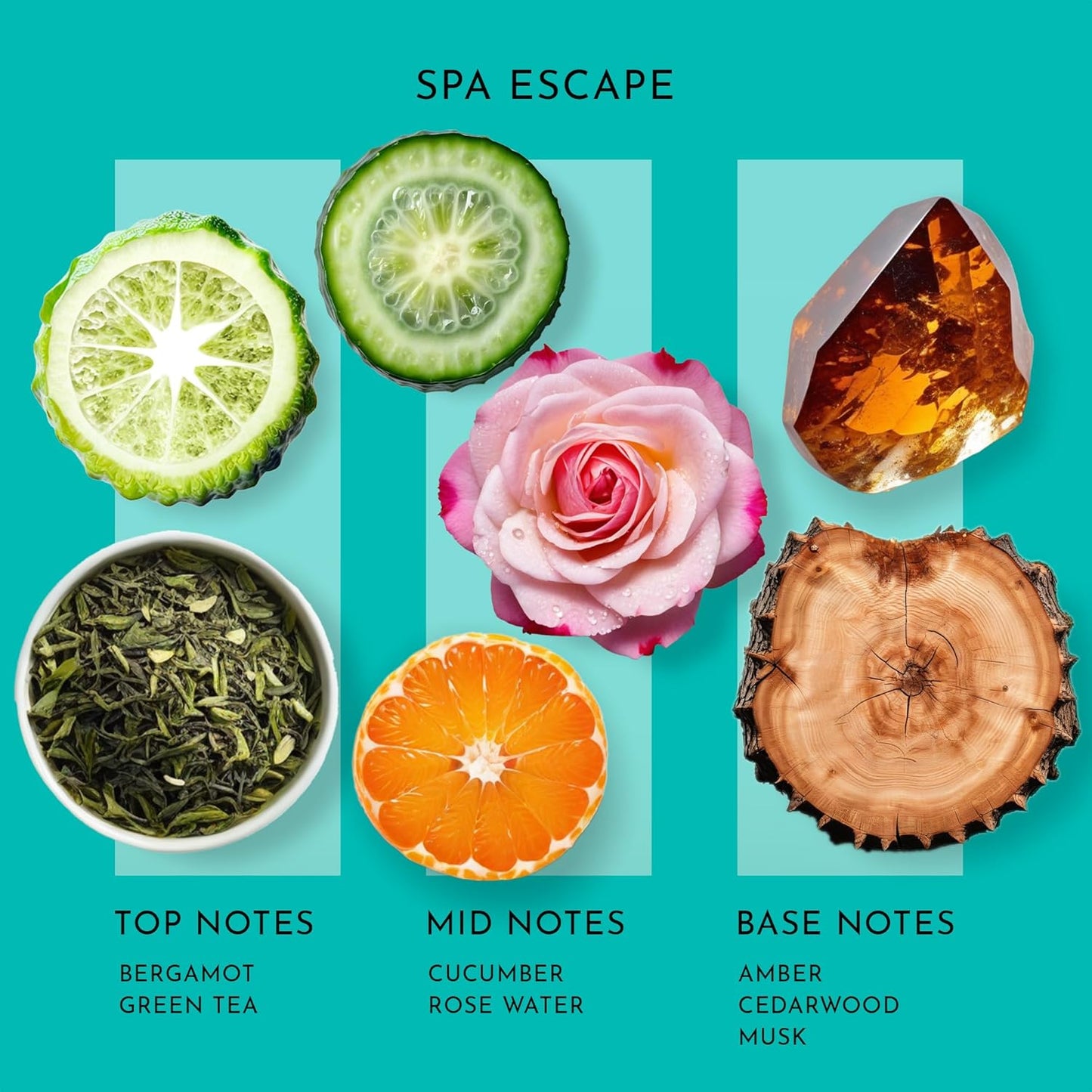 Scent Better Spa Escape Aroma Essential Oil Blend: an Aromatherapy Blend of Green Tea, Mandarin, and Cucumber for Ultrasonic Diffusers & Nebulizers (2 Fl Oz, 60 mL)