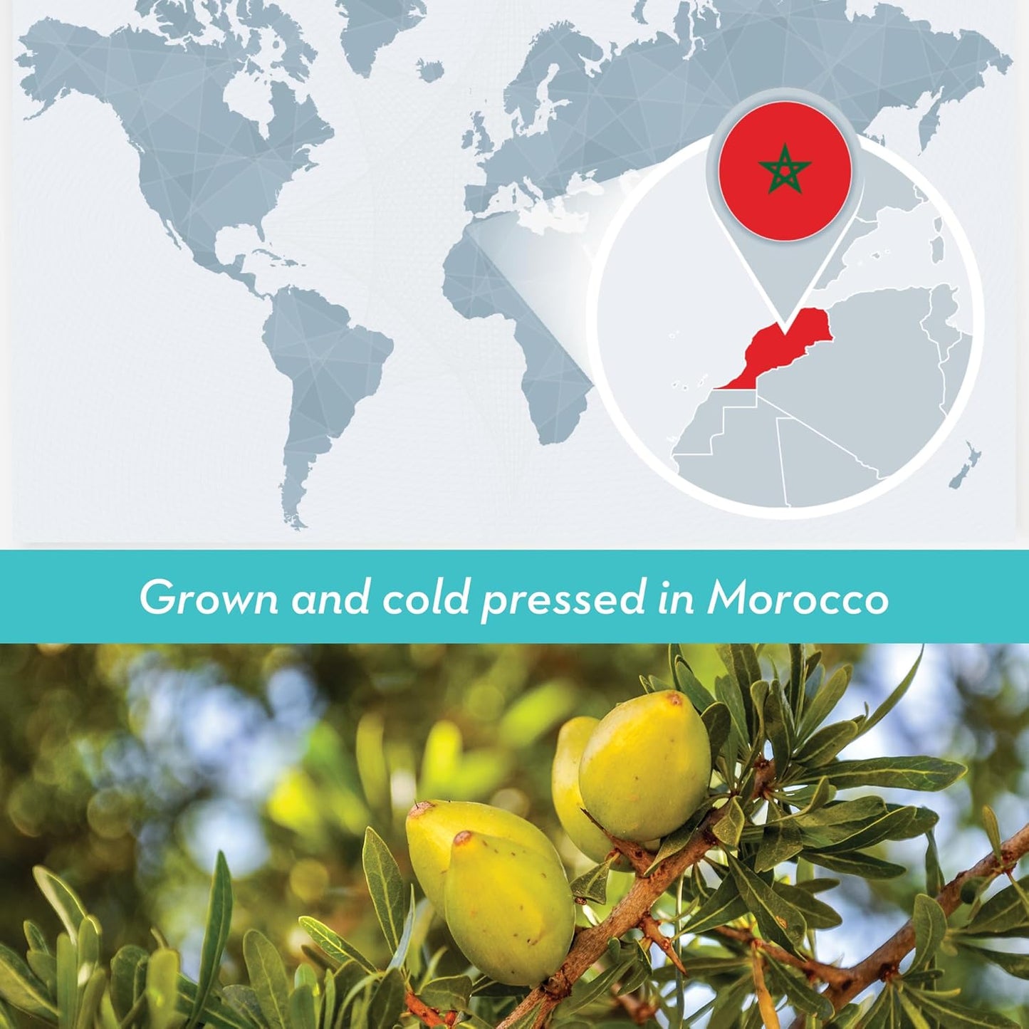 Bulk Argan Oil - 8 Fl Oz Large Size Bottle - Natural, Cold Pressed, 100 Percent Pure Argan Oil for Homemade Hair, Face and Skin Products - Light Aceite de Argan Carrier Oil