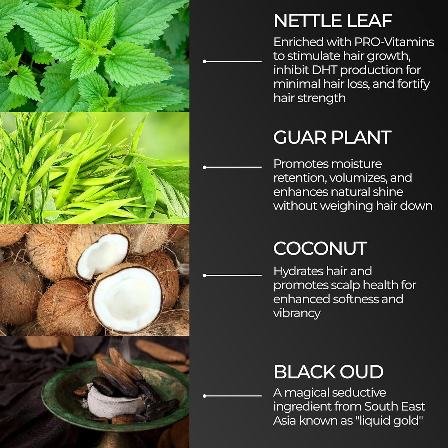 Black Oud Men's Shampoo, Hair & Beard Cleaner and Strengthener, Vegan & Hypoallergenic Shampoo , 3.38 Fl Oz Hair Shampoo & Beard Wash Kit Essential