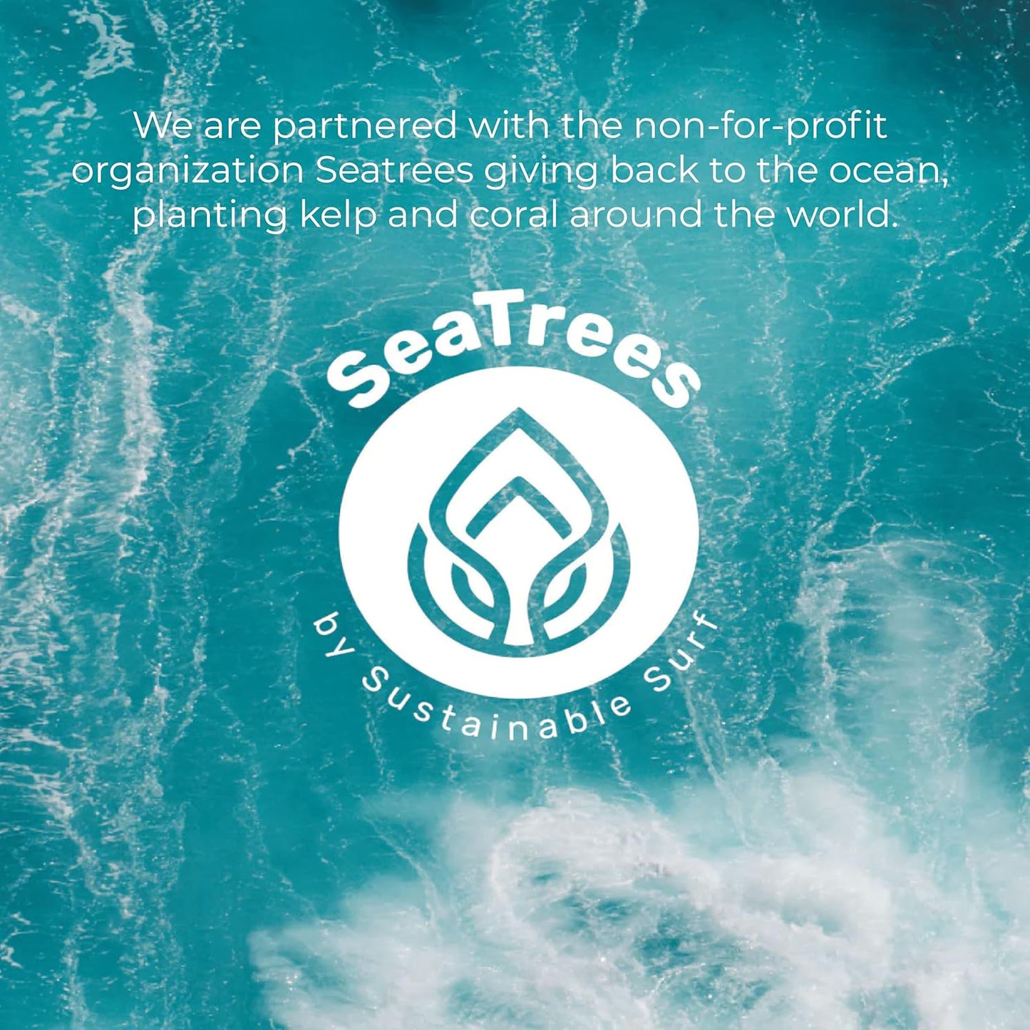 Sea-el Sea Kelp Mud Face Mask Skincare Activated Charcoal & Bentonite Clay Detox & Repair Facial Mask Calming Hydration Boost - Turmeric & Aloe Daily Glow Essentials for Women & Men - 2oz