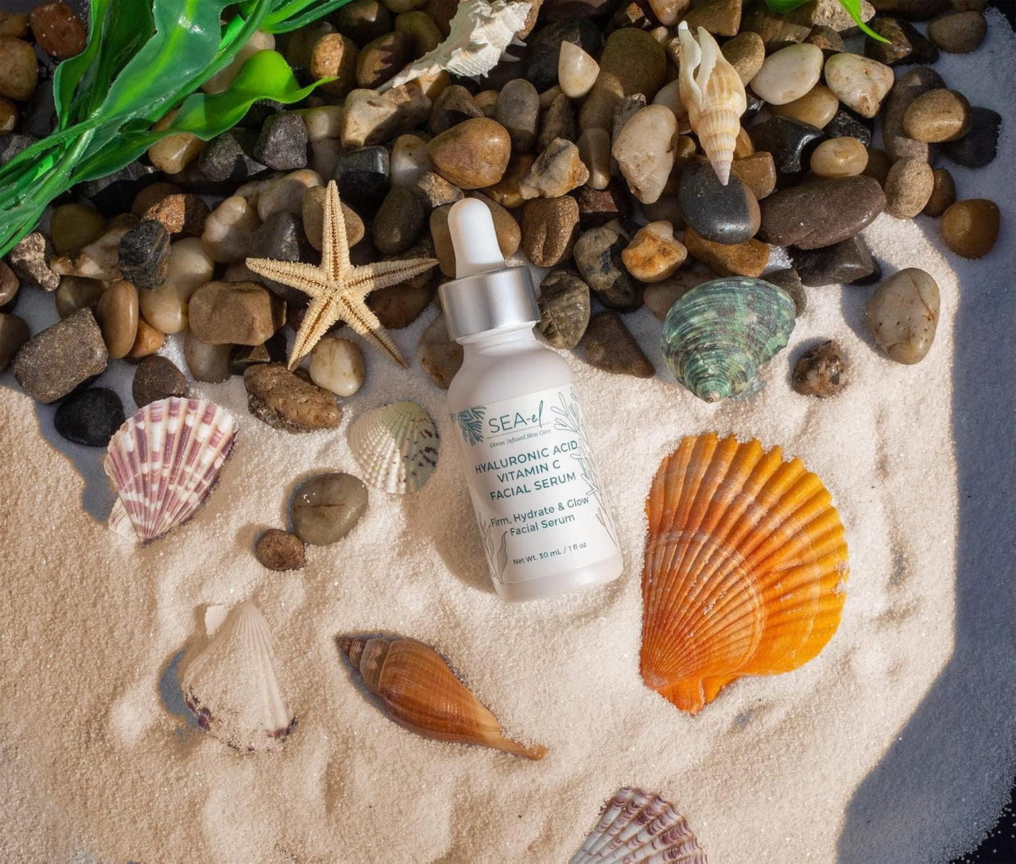 Sea-el Hyaluronic Acid & Vitamin C Facial Serum Drops Firming Hydration & Glow Anti Aging Face Moisturizer - Daily Wrinkle Diminishing Skin Care for Women & Men, Vegan - 1 Fl Oz